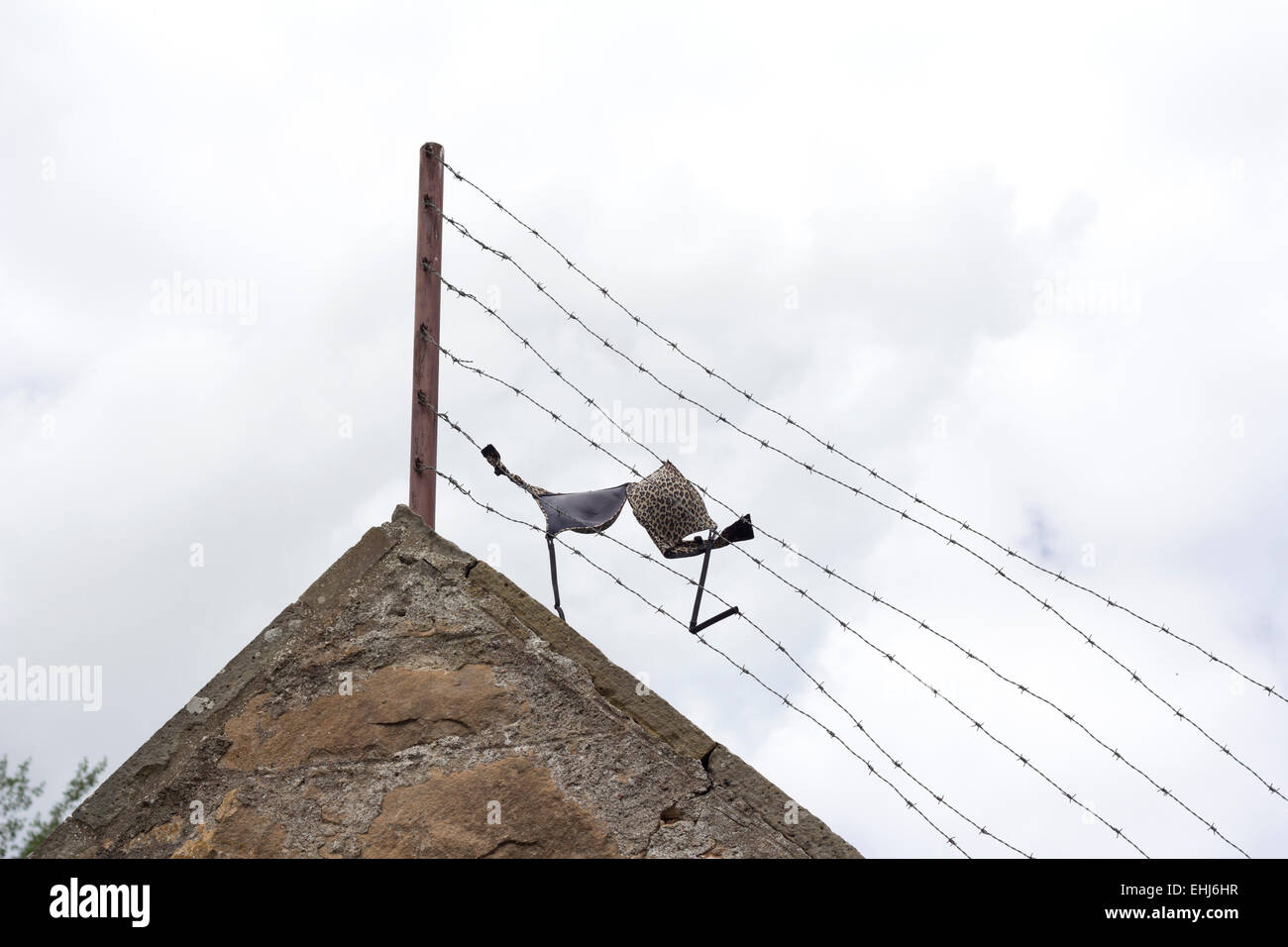 Un soutien-gorge est sur un filet métallique Banque D'Images