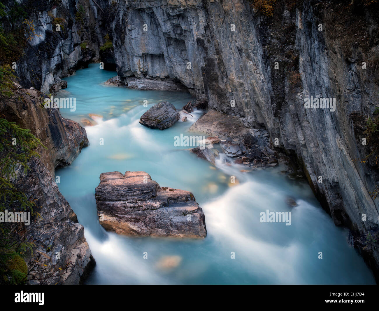 Ruisseau Tokumm, Marble Canyon. Kooteny National Park, Canada Banque D'Images