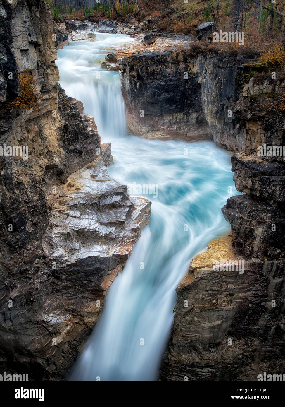 Les chutes du ruisseau Tokumm, Marble Canyon. Kooteny National Park, Canada Banque D'Images