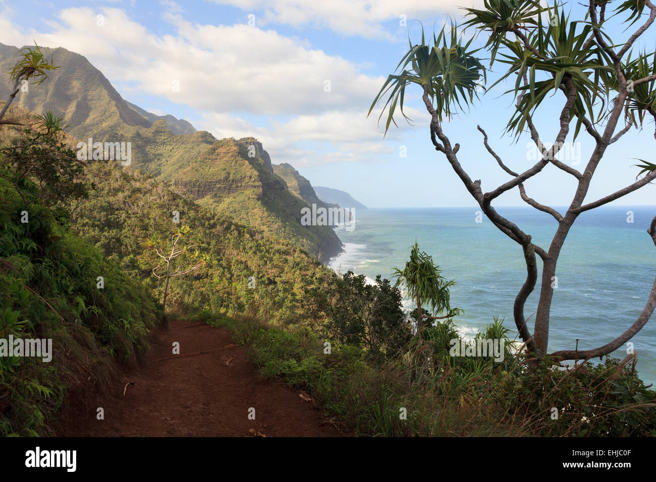 Kalalau Trail randonnée pédestre, Côte de Na Pali, Kauai, Hawaii Banque D'Images