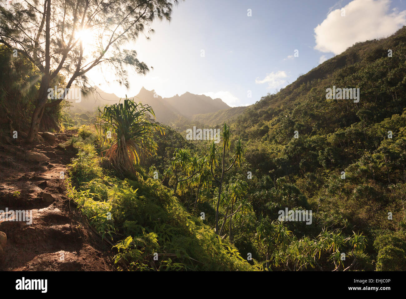Kalalau Trail randonnée pédestre, Côte de Na Pali, Kauai, Hawaii Banque D'Images