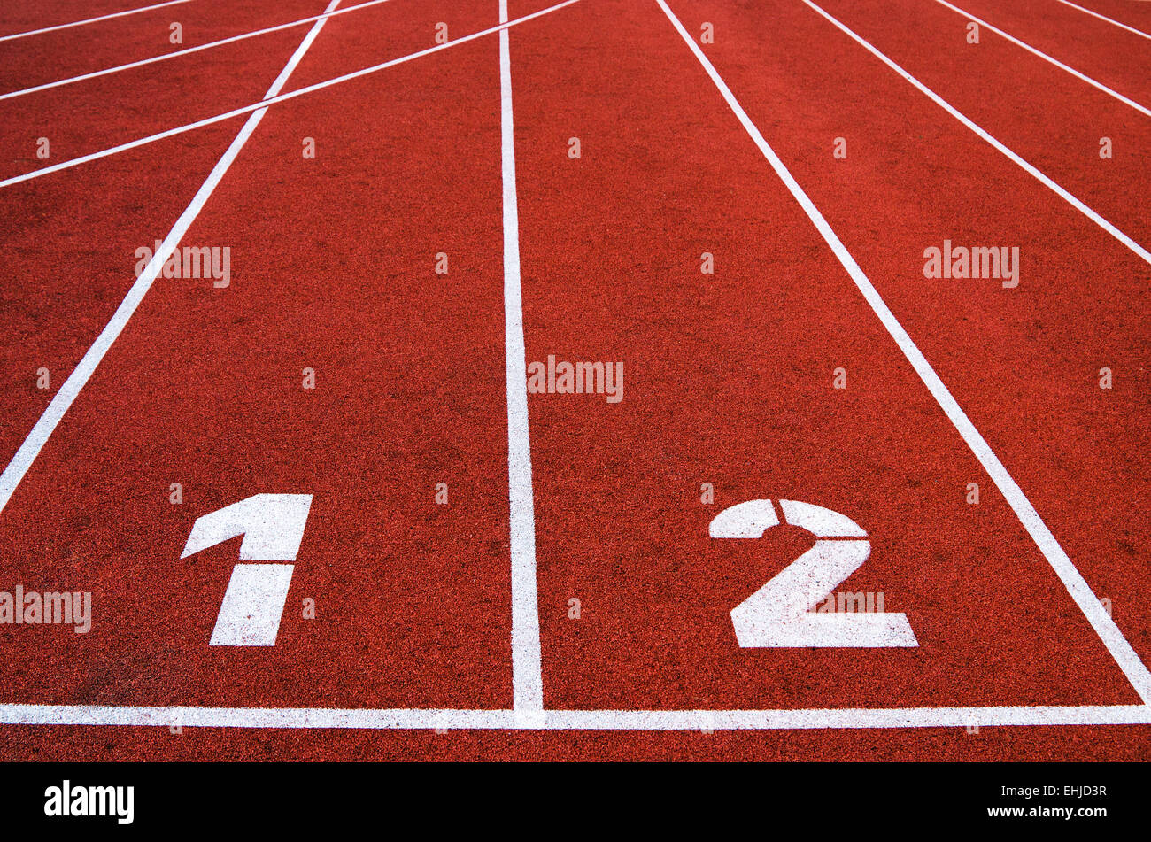 Dans l'hippodrome stadium, un close up Banque D'Images