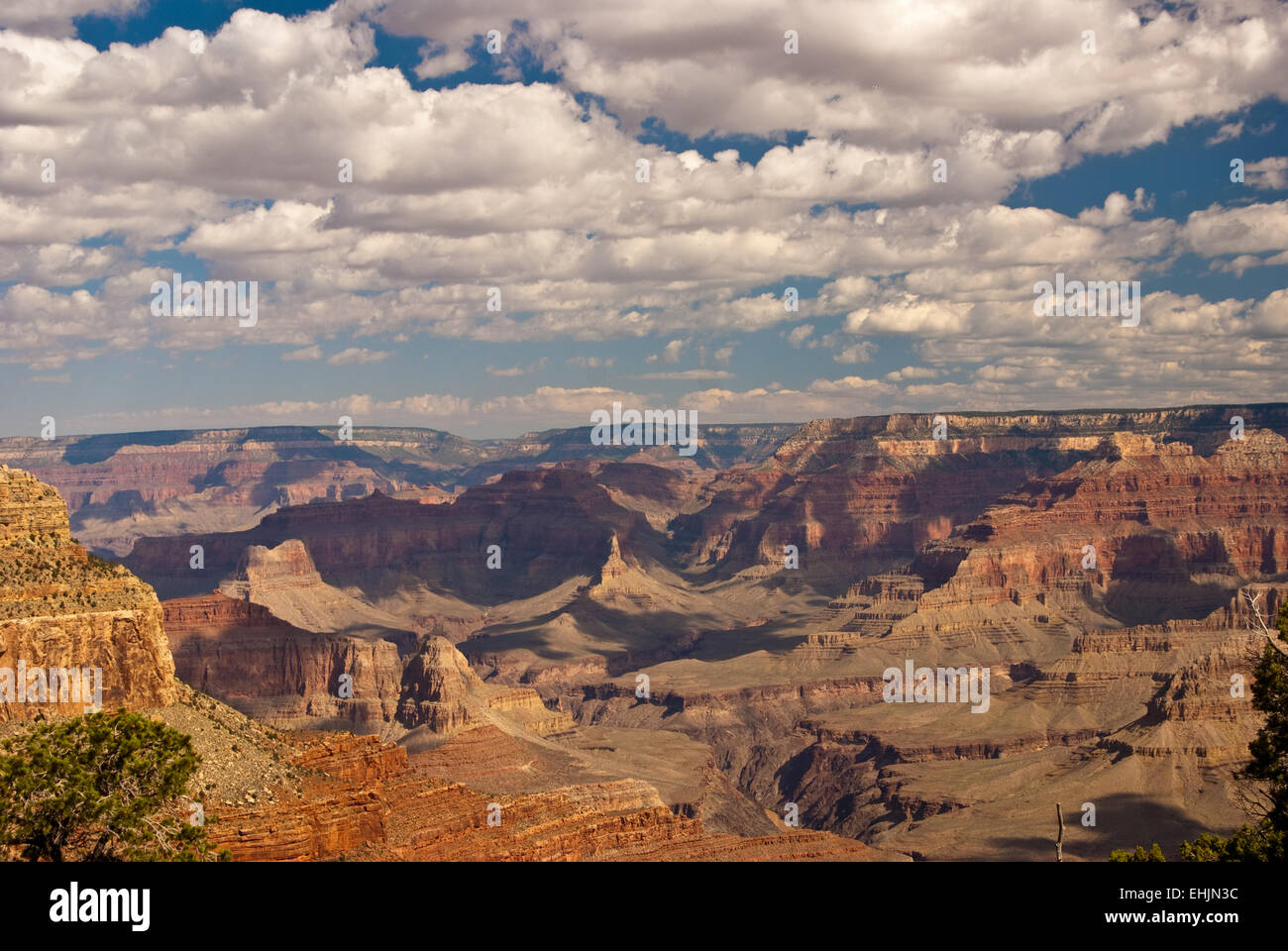 Magnifique Grand Canyon Banque D'Images