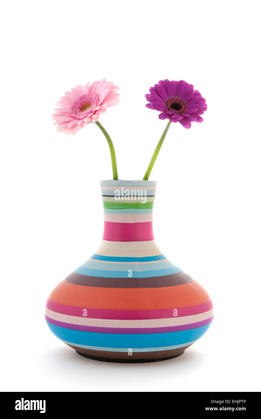 Vase moderne et colorée avec Gerber fleurs isolées sur fond blanc Banque D'Images