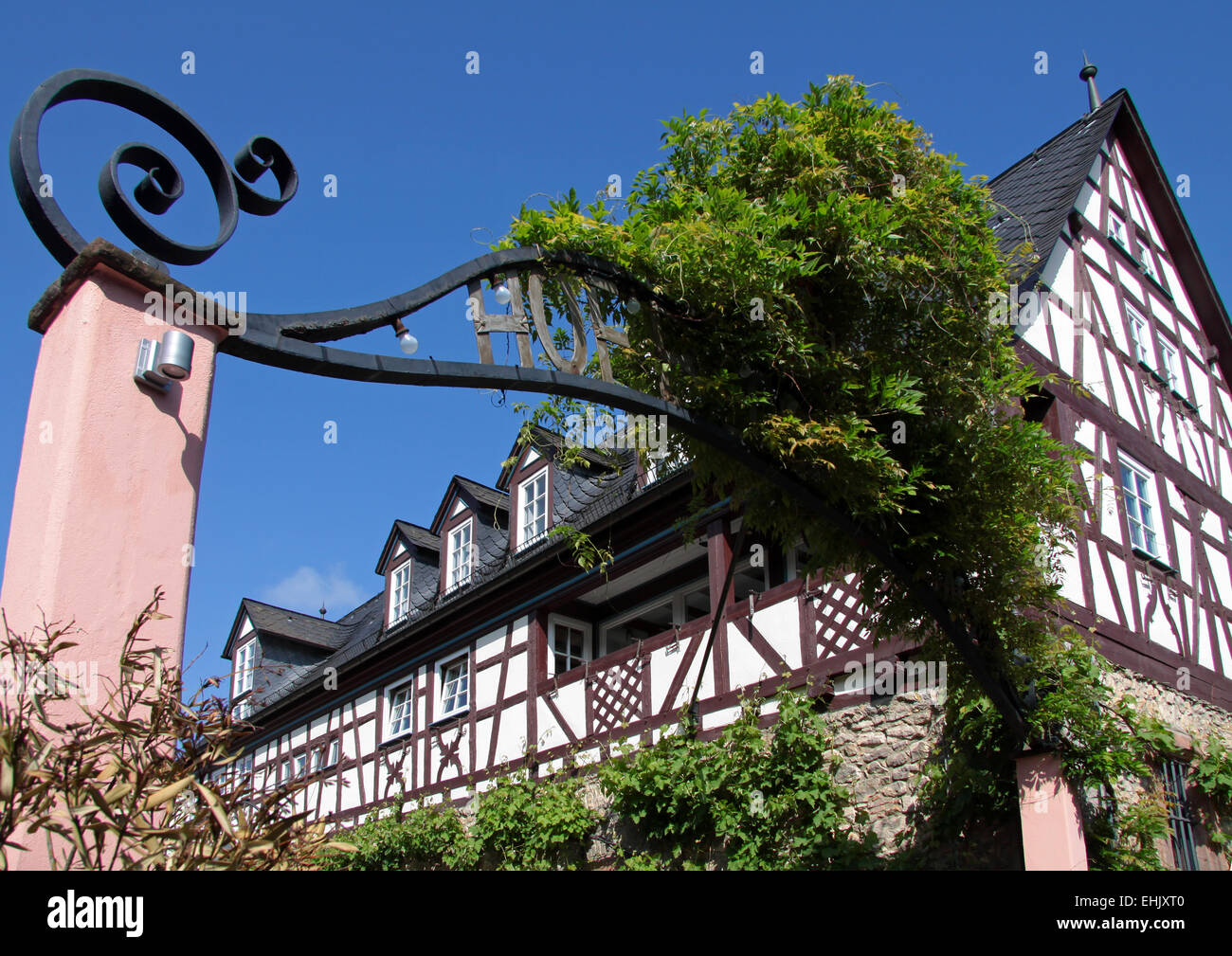 Archway dans un vignoble à Eltville, Rhin, Allemagne Banque D'Images