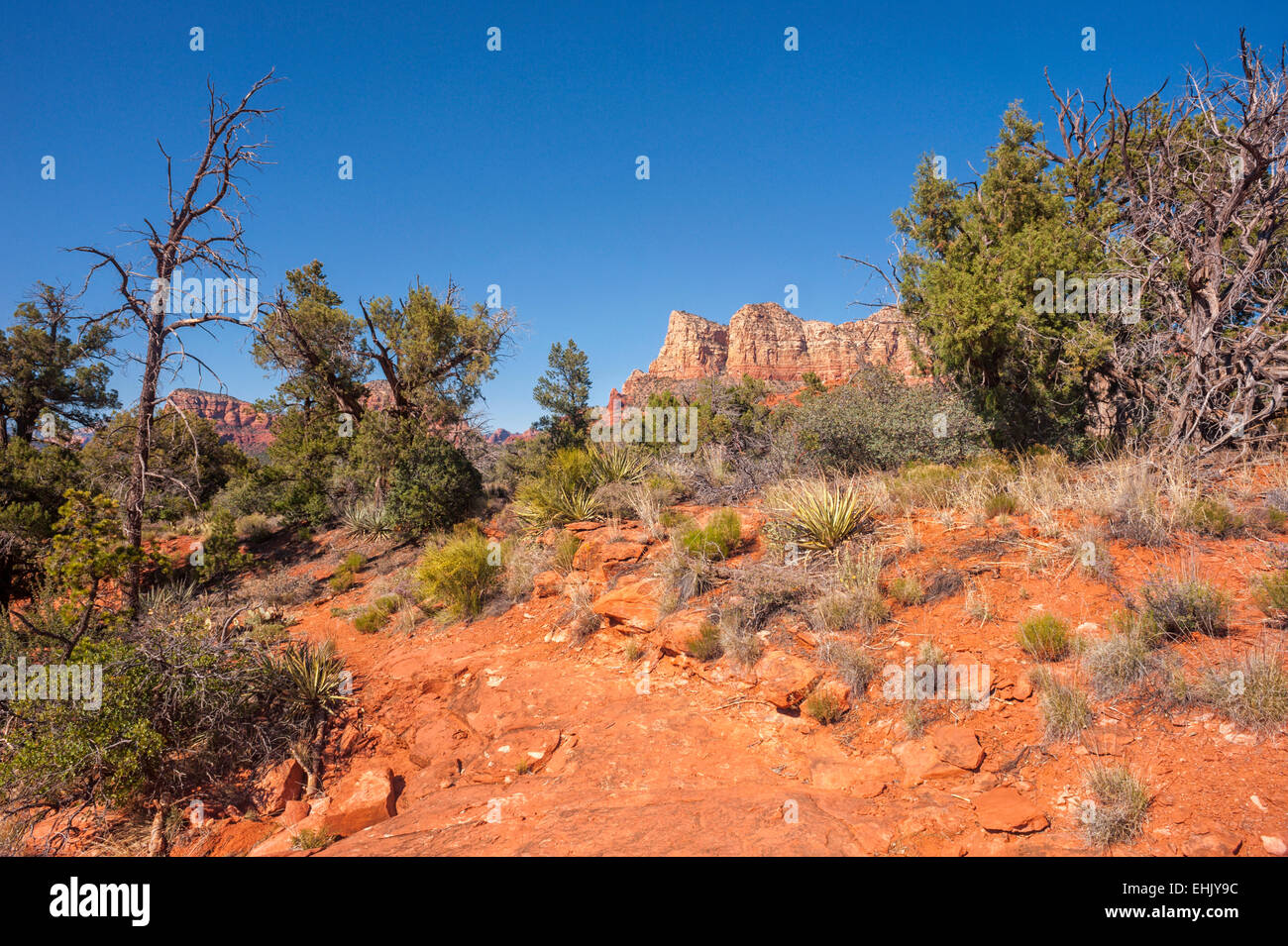 Vue panoramique de Courthouse Butte et autres buttes de red rock, et le sud-ouest de paysage désertique, Sedona, Arizona, USA, mai 2014. Banque D'Images