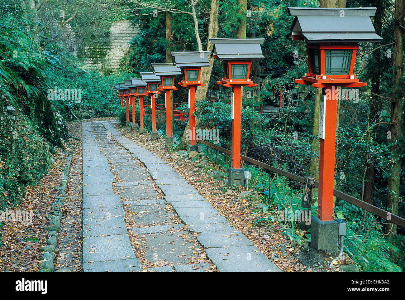 Une ligne de lanternes orange sur le chemin qui mène jusqu'aux pistes du mont Kurama donne un sens de la nature mystique. Banque D'Images