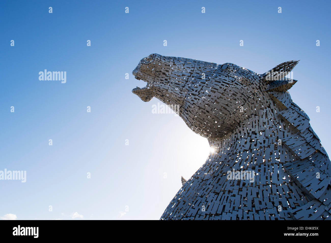 Les Kelpies. Falkirk. L'Ecosse Banque D'Images