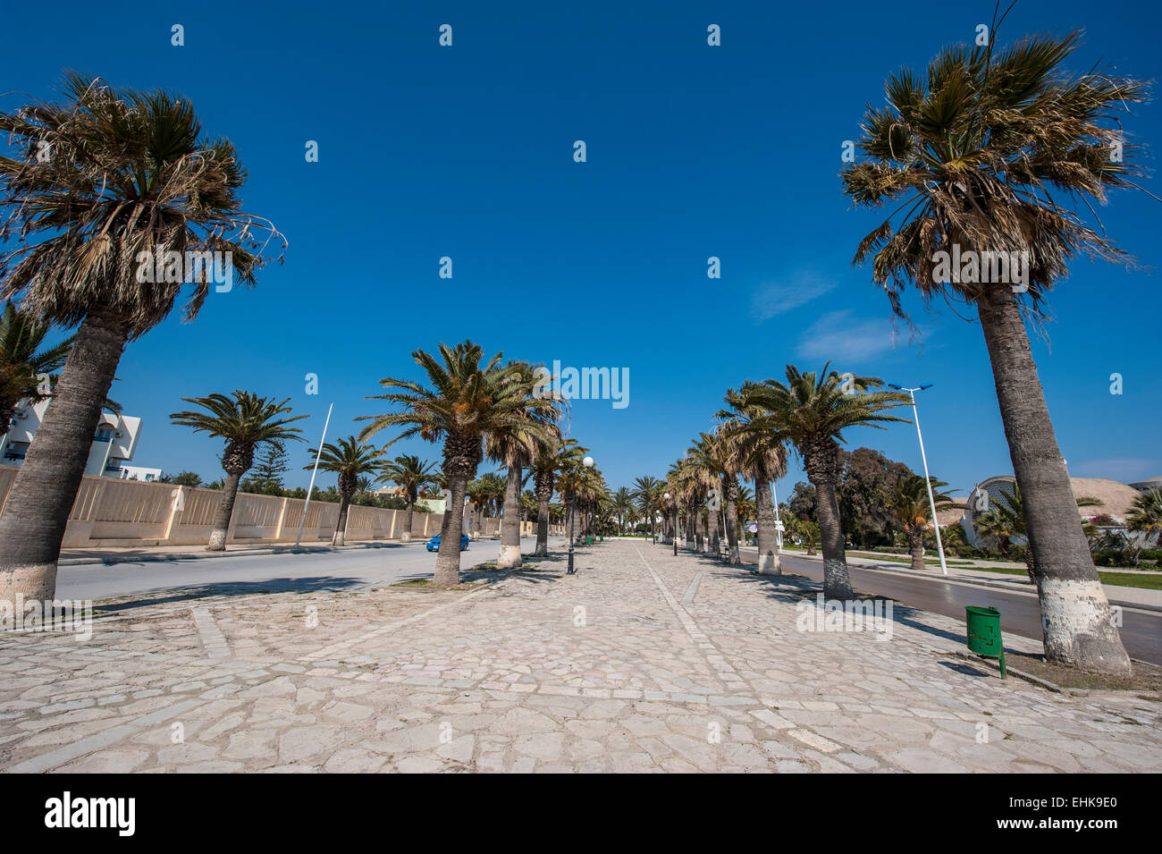 La promenade bordée de palmiers à Nabeul, une ville côtière dans le nord-est de la Tunisie. Banque D'Images