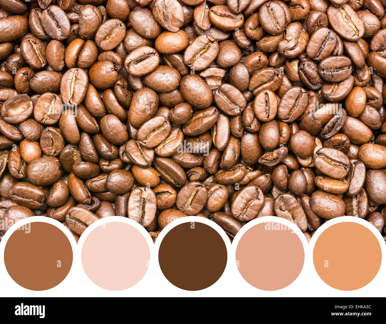 Palette de couleurs de café torréfié Frais Photo Stock - Alamy