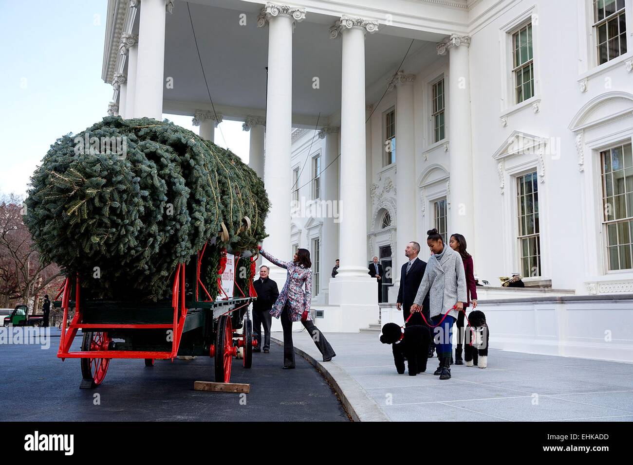 La Première Dame Michelle Obama, avec ses filles Sasha et Malia et animaux de Bo et ensoleillée, reçoit l'arbre de Noël officiel de la Maison Blanche à l'Amérique du portique de la Maison Blanche le 28 novembre 2014 à Washington, DC. Banque D'Images
