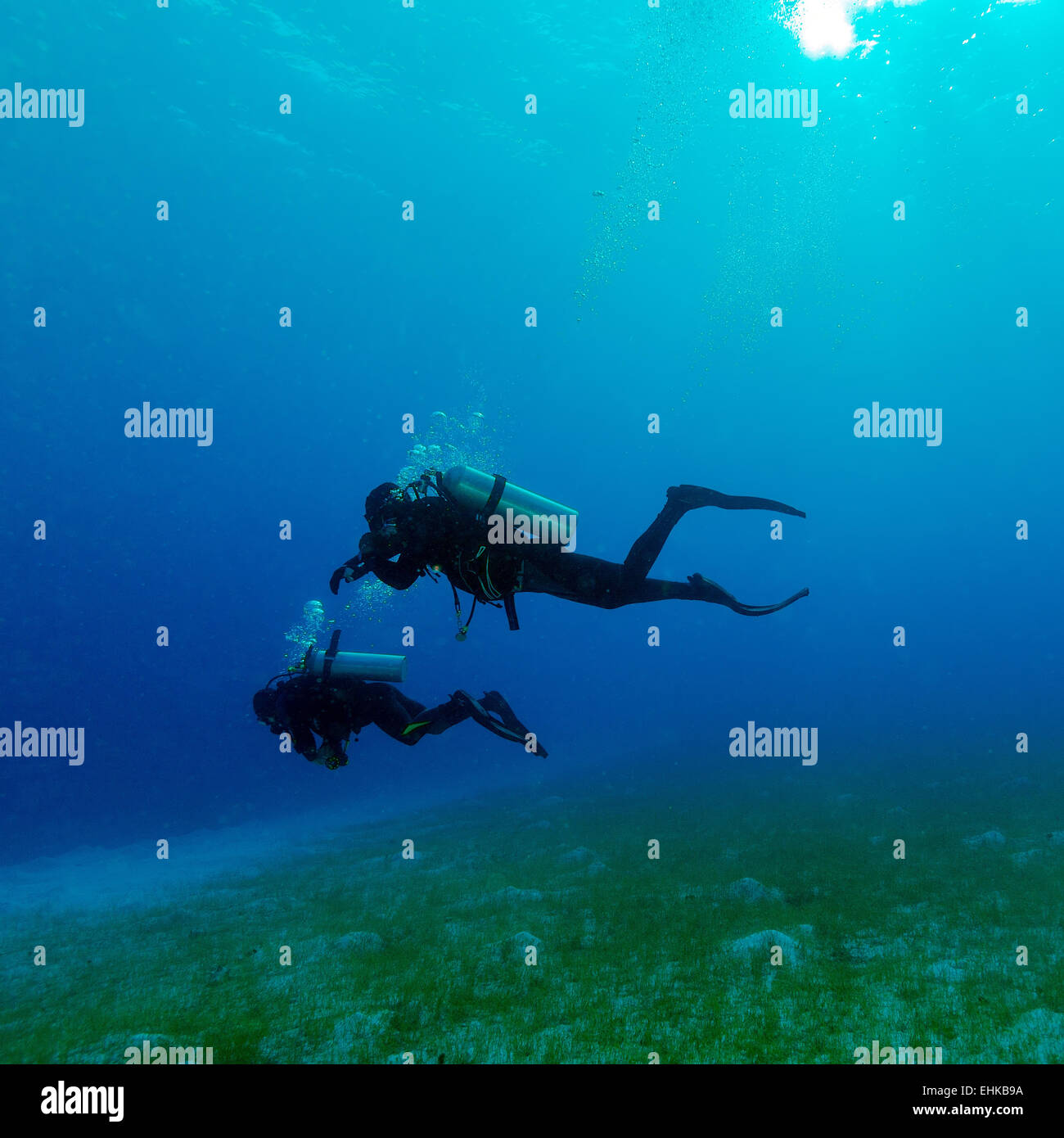Silhouette de deux plongeurs près de fond Banque D'Images