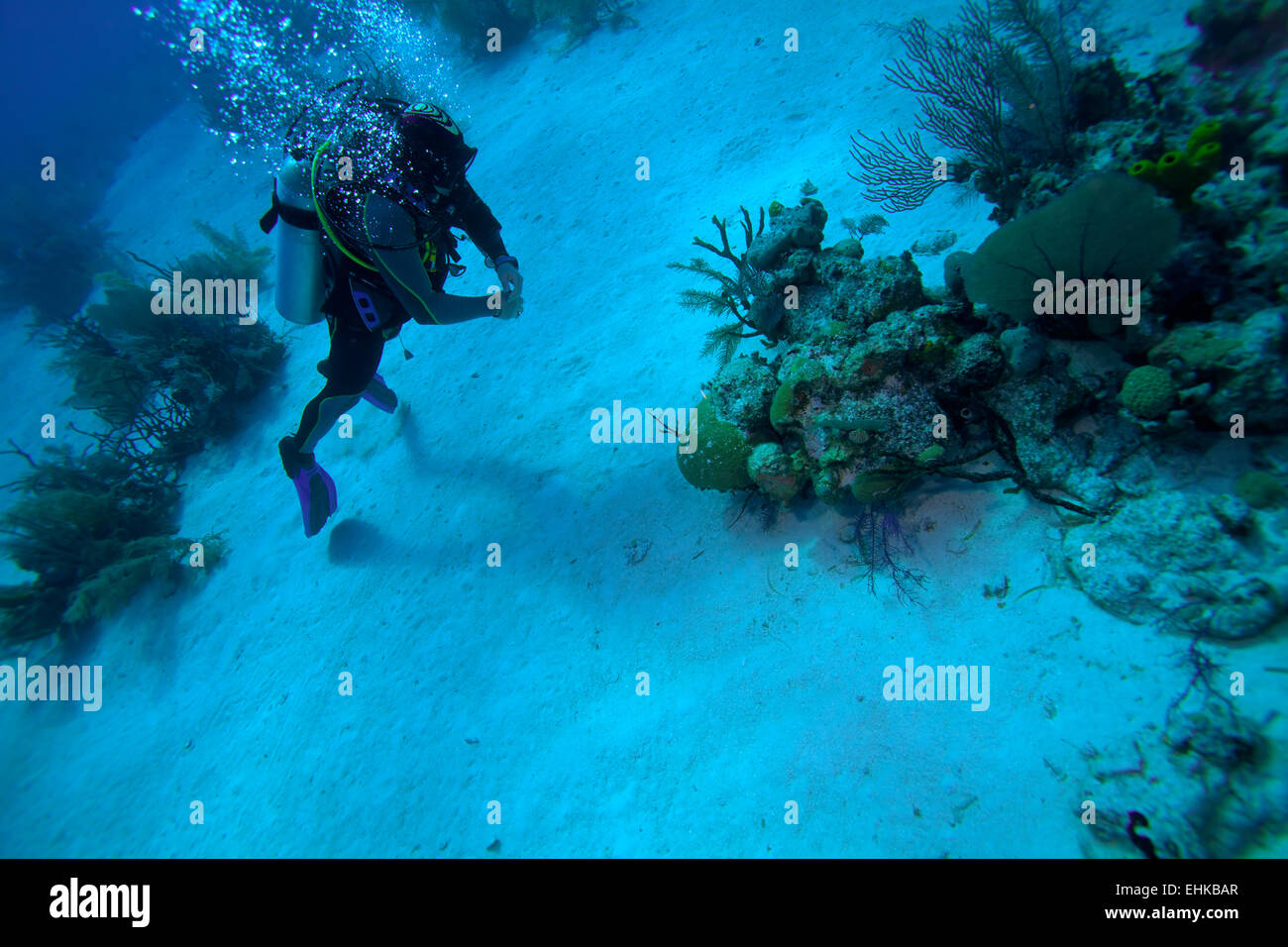 Plongeur avec amende boyancy, Cuba Banque D'Images