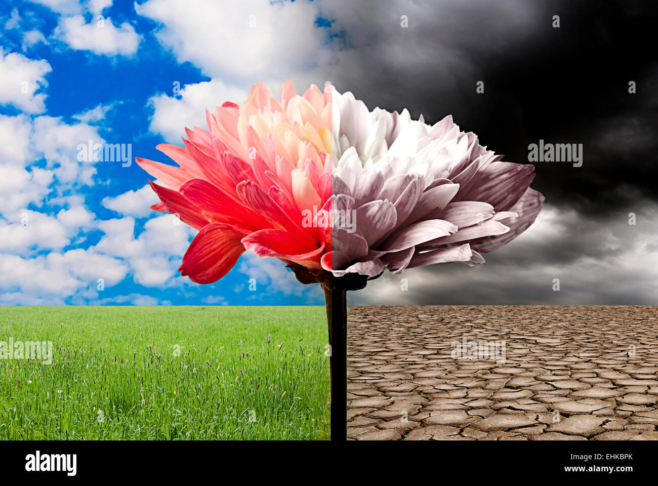 Image conceptuelle pour le réchauffement de danger et l'écologie et l'environnement de conscience Banque D'Images