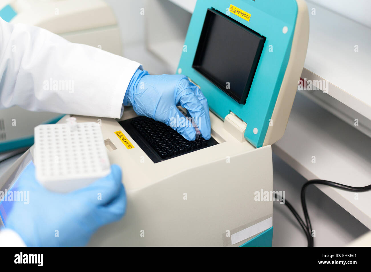 Main gantée de chargement technicien tubes à essai avec de l'ADN de l'échantillon pour la réaction en chaîne par polymérase - PCR Banque D'Images