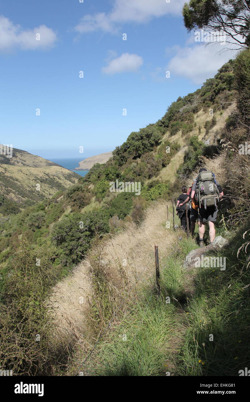 Sentier de randonnée de routards de la Nouvelle-Zélande, la péninsule de Banks Track, Nouvelle-Zélande, île du Sud Banque D'Images