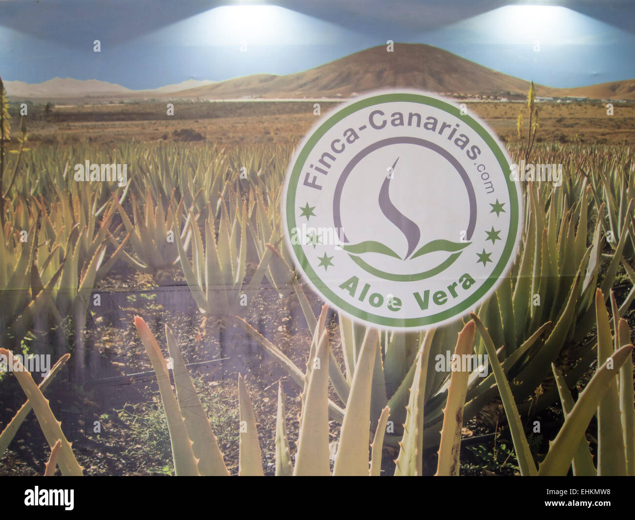 Big Wall affiche publicitaire de la société Finca- Canarias impliqués dans l'Aloe Vera et des produits de plantation, Fuerteventura, Espagne Banque D'Images