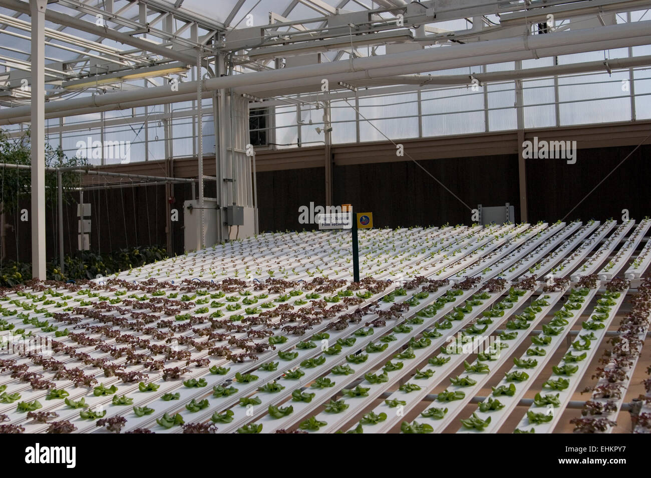 Cultures expérimentales à Epcot Center, Orlando, Floride Banque D'Images