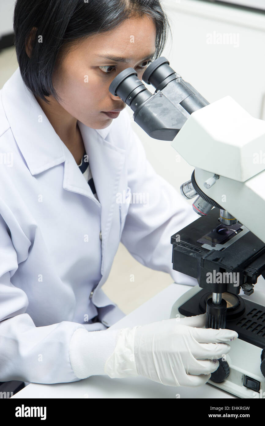Femme travaillant dans un laboratoire avec microscope Banque D'Images