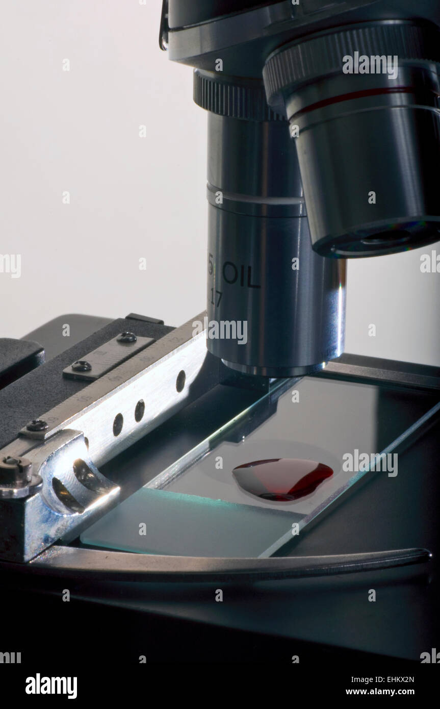 Microscope avec échantillon de sang isolated on white Banque D'Images