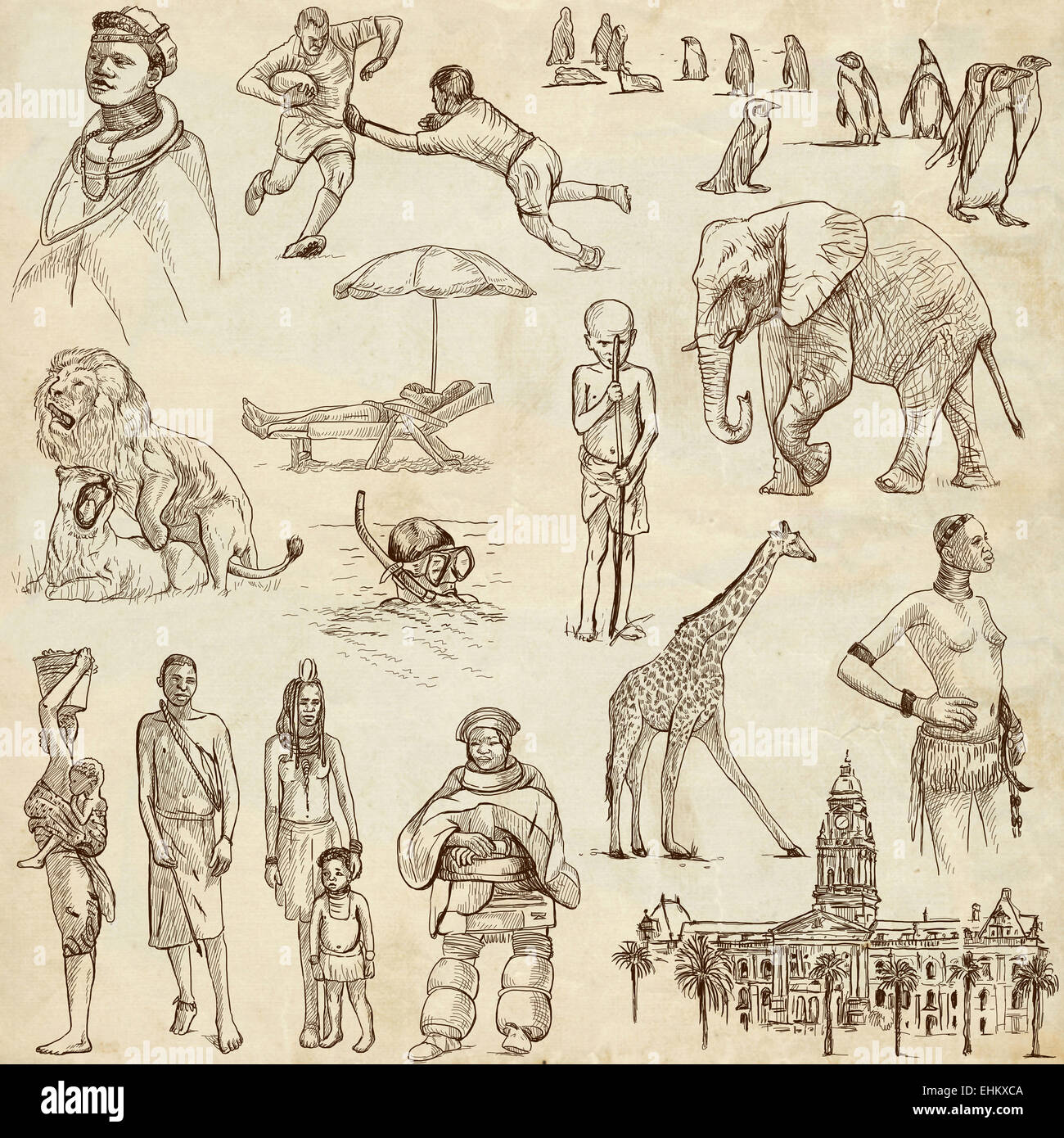 Série de voyages : AFRIQUE DU SUD - une collection d'illustrations faites à la main. Description : Grand hand drawn illustrations, originaux Banque D'Images