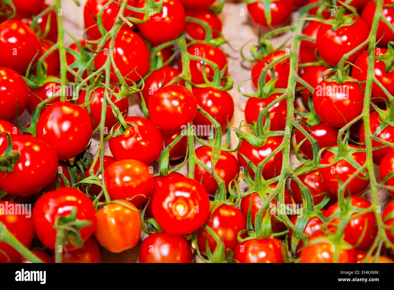 Les tomates sur la vigne, Borough Market, London, England Banque D'Images