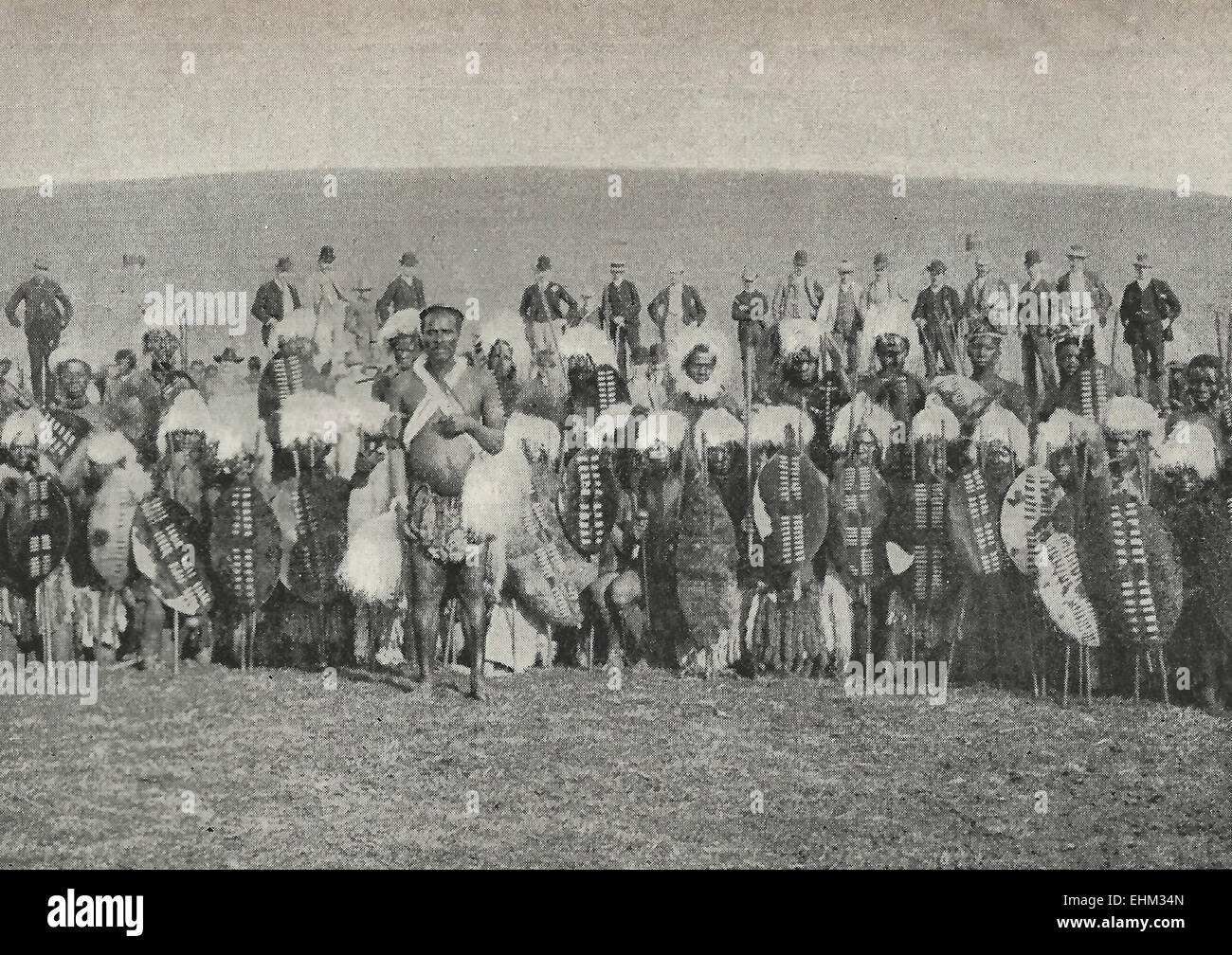 Zulu Warriors - non civilisé. Les guerriers zoulous posant en costume national, Afrique du Sud, vers 1898 Banque D'Images