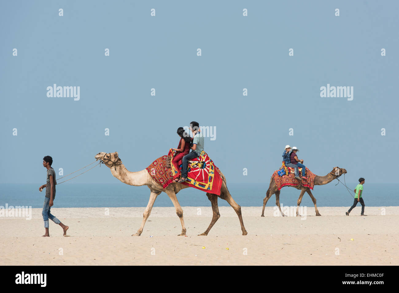 Les touristes indiens chameaux, plage, Alappuzha, Kerala, Inde Banque D'Images