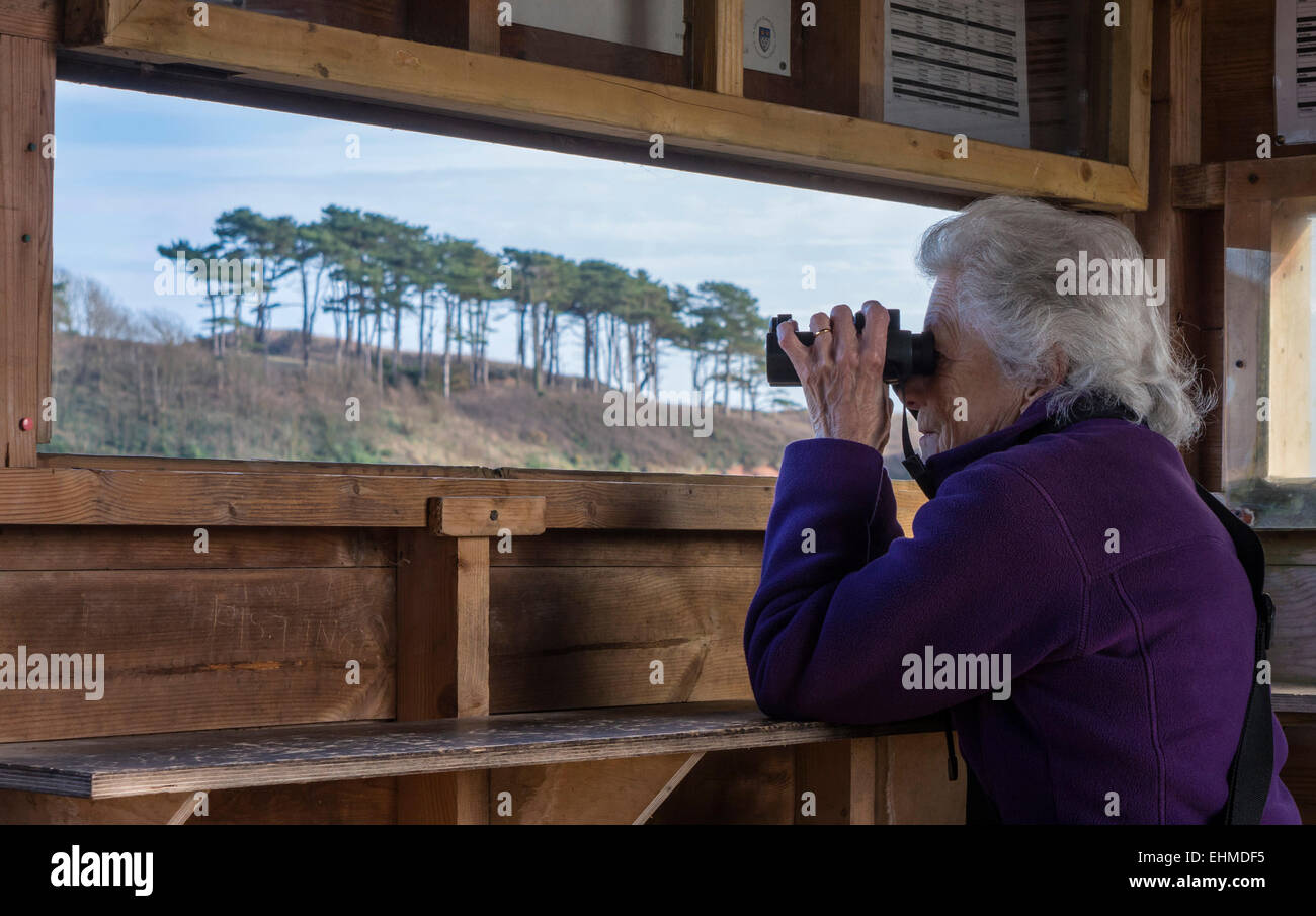Dame mature des oiseaux dans un cacher ou "sans visibilité" sur la Loutre de rivière, Budleigh Salterton, l'est du Devon, Angleterre, Royaume-Uni. Banque D'Images