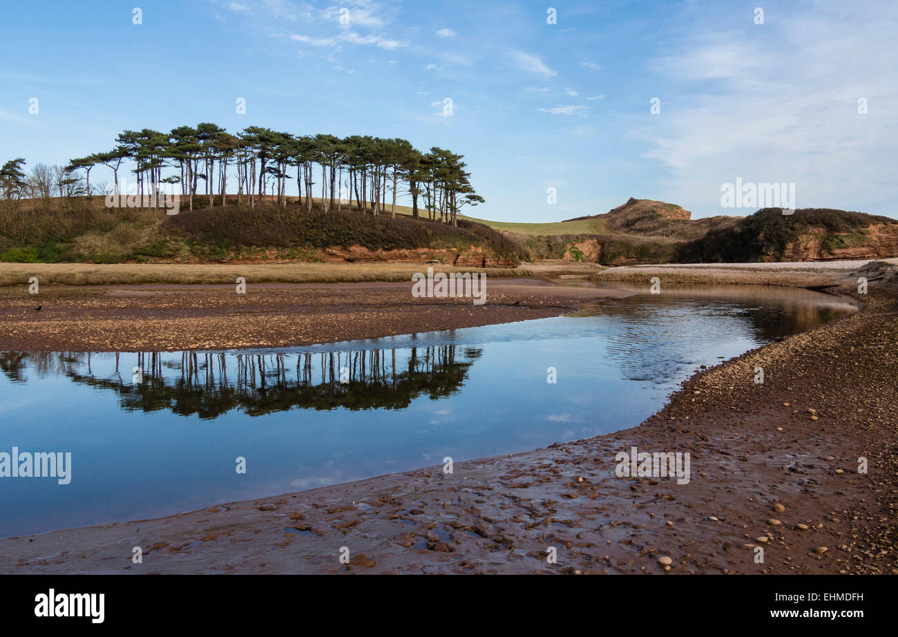 La loutre de rivière, l'estuaire de Budleigh Salterton, l'est du Devon, Angleterre, Royaume-Uni Banque D'Images