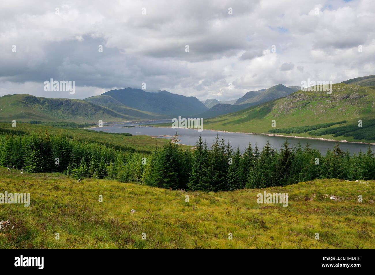 Loch Loyne, tambour na h Achlaise & East Glenquoich Forest, Highland, Scotland Banque D'Images
