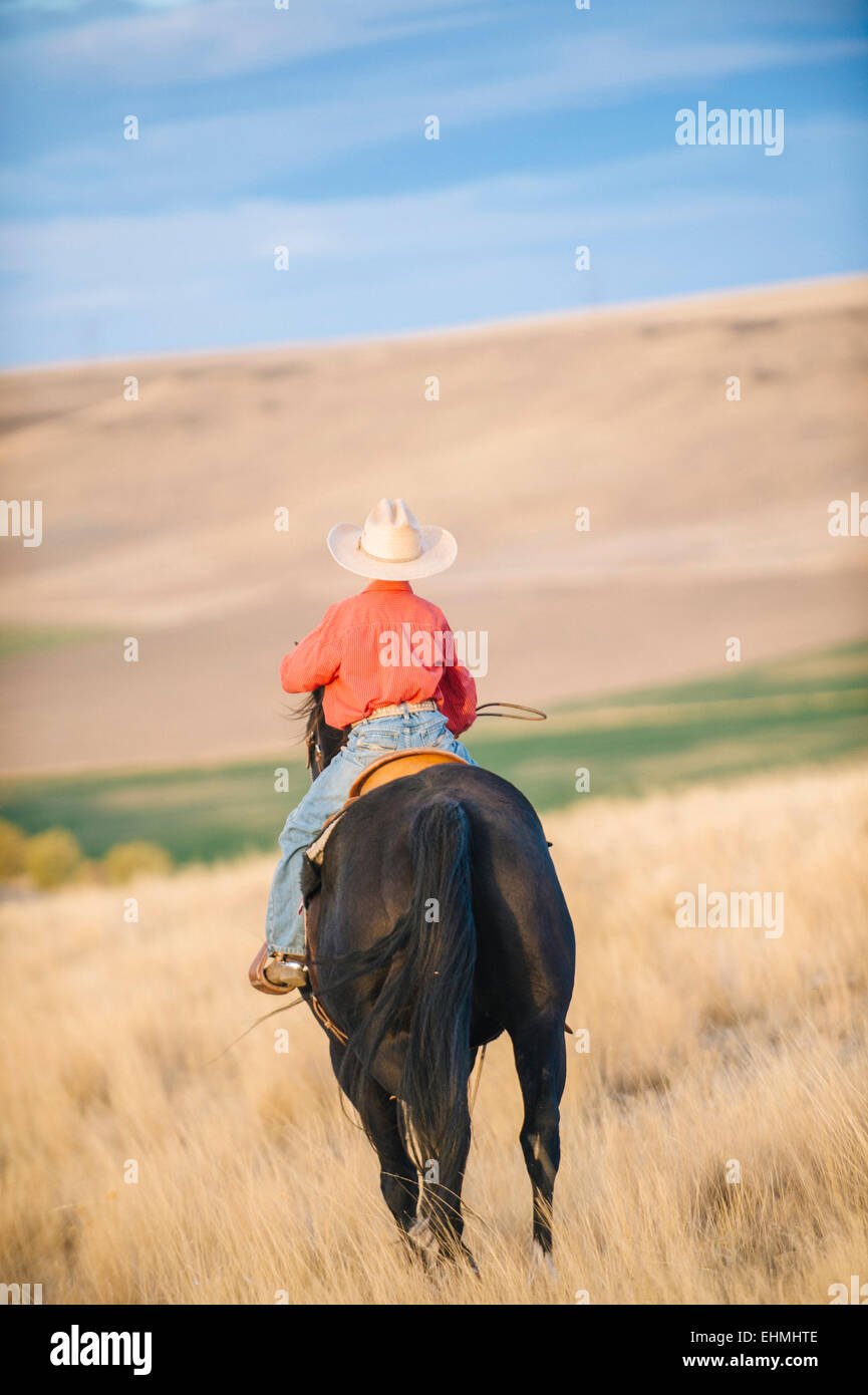 Woman riding horse in grassy field Banque D'Images