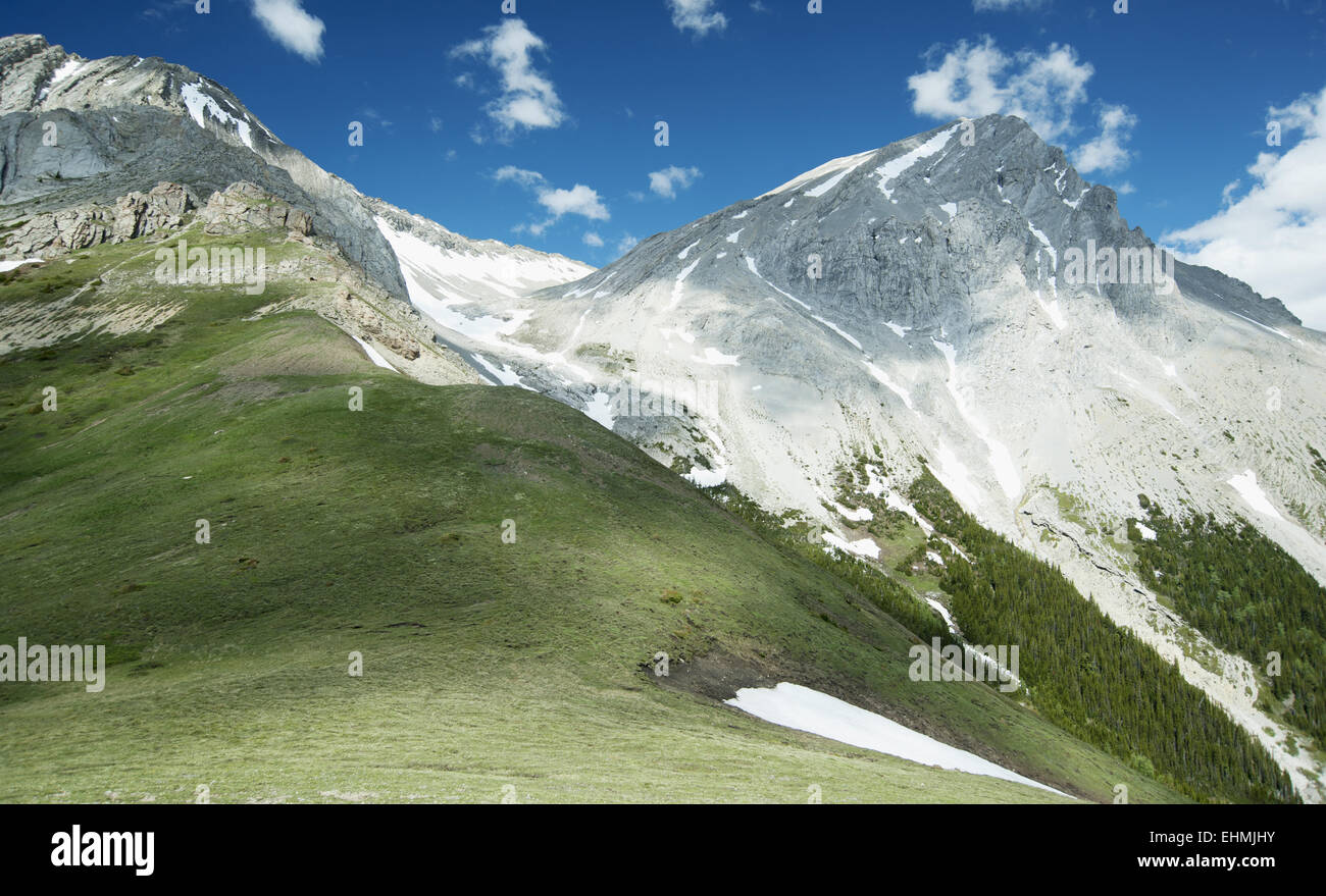 Des pics de montagne avec de la neige et de l'herbe sous ciel bleu Banque D'Images