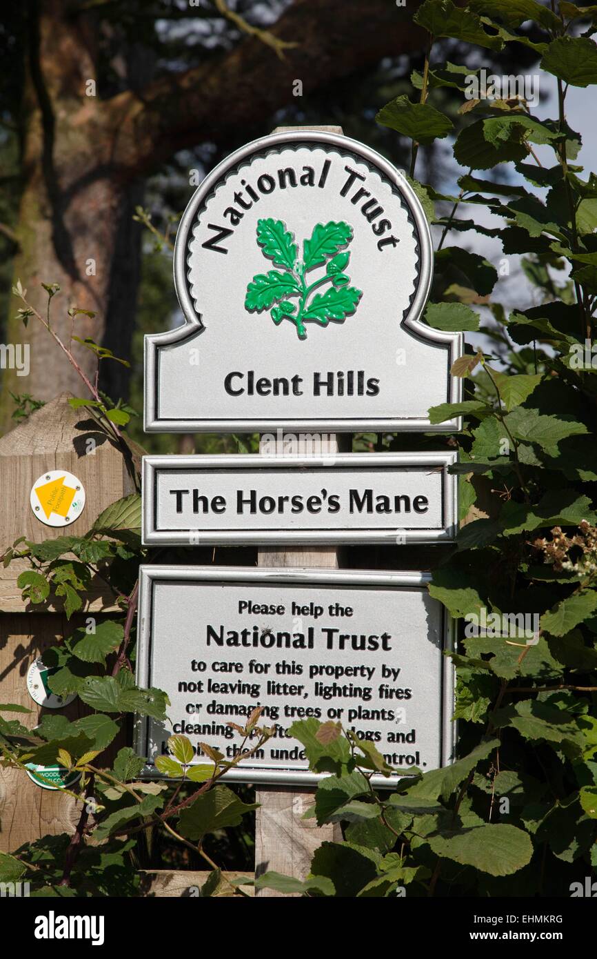 Les chevaux sur la crinière, près de Halesowen Clent Hills et Hagley. Site du National Trust Banque D'Images