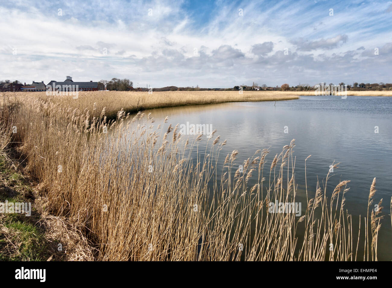 Snape Maltings, Suffolk, UK. La rivière Alde s'exécute au moyen de vastes roselières Banque D'Images