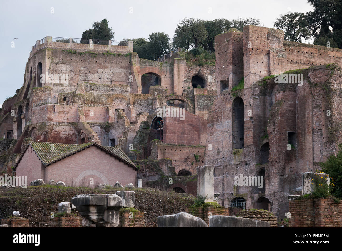 Le Palatin, Rome, Latium, Italie. Banque D'Images