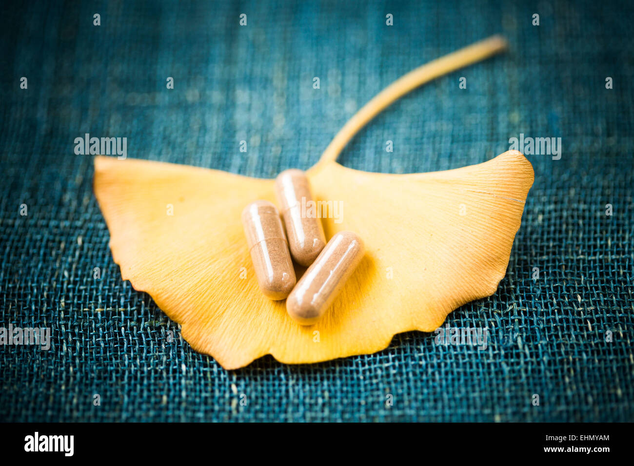 Le ginkgo biloba et comprimés. Banque D'Images