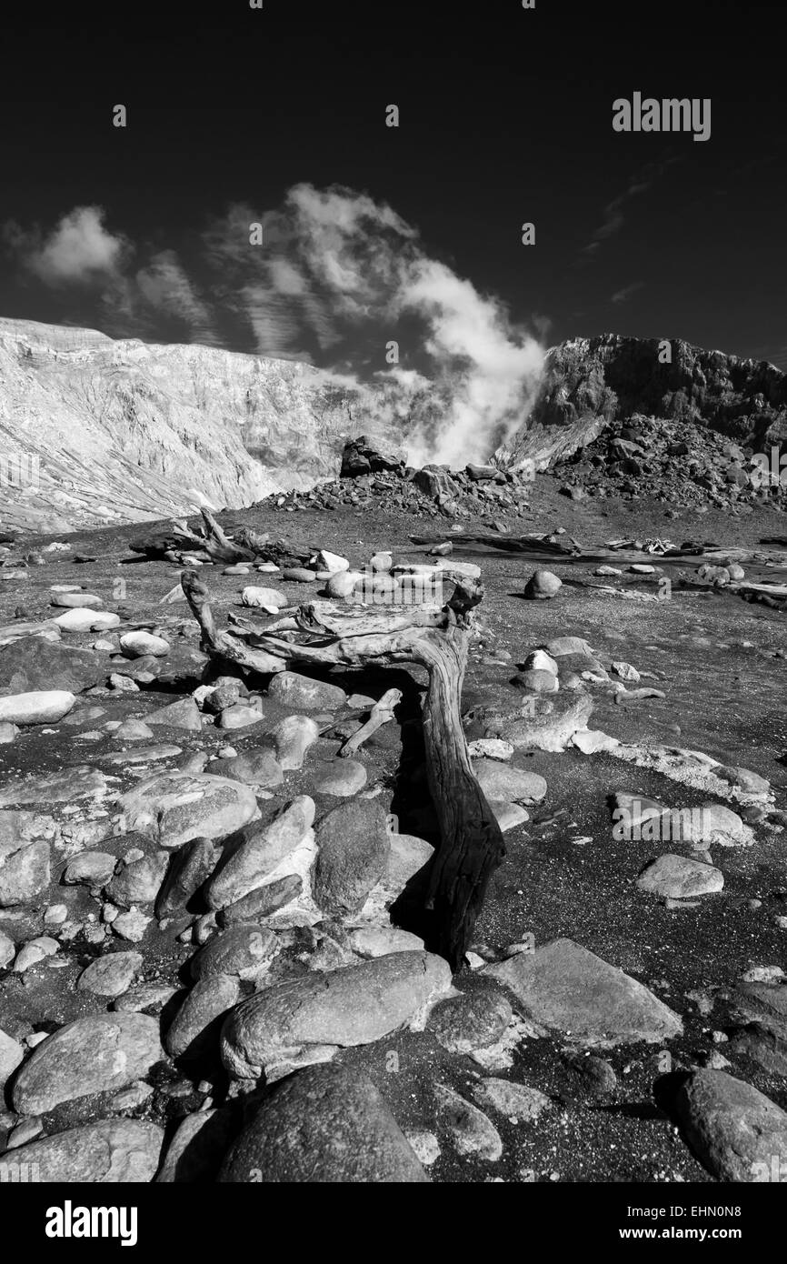 Vieux tronc et roches sur White Island volcan en Nouvelle-Zélande. Version couleur EHN0N9 Banque D'Images