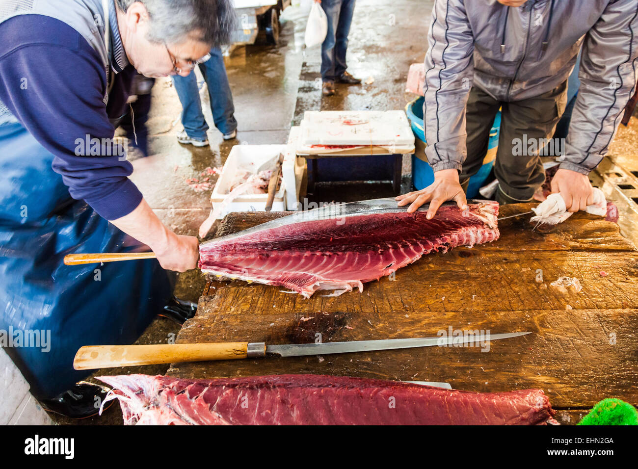 Le thon en vente au marché aux poissons de Tsukiji, Tokyo, Japon. Banque D'Images