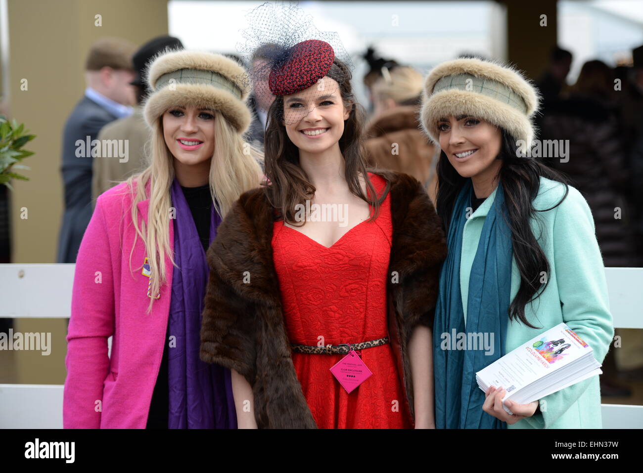 Mesdames Jour - Cheltenham Festival 2015 Banque D'Images