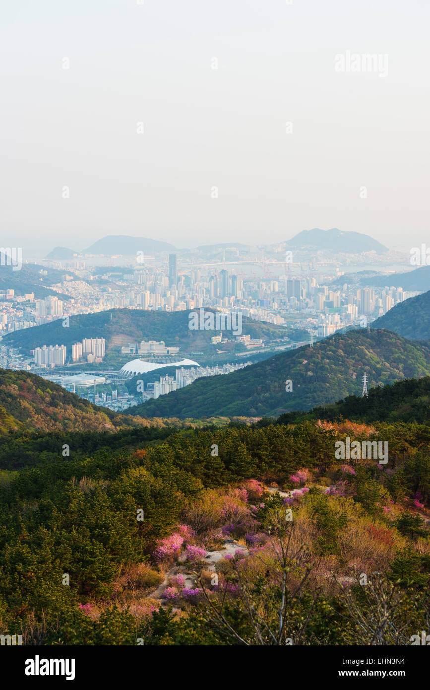 L'Asie, République de Corée, Corée du Sud, Pusan, city skyline Banque D'Images