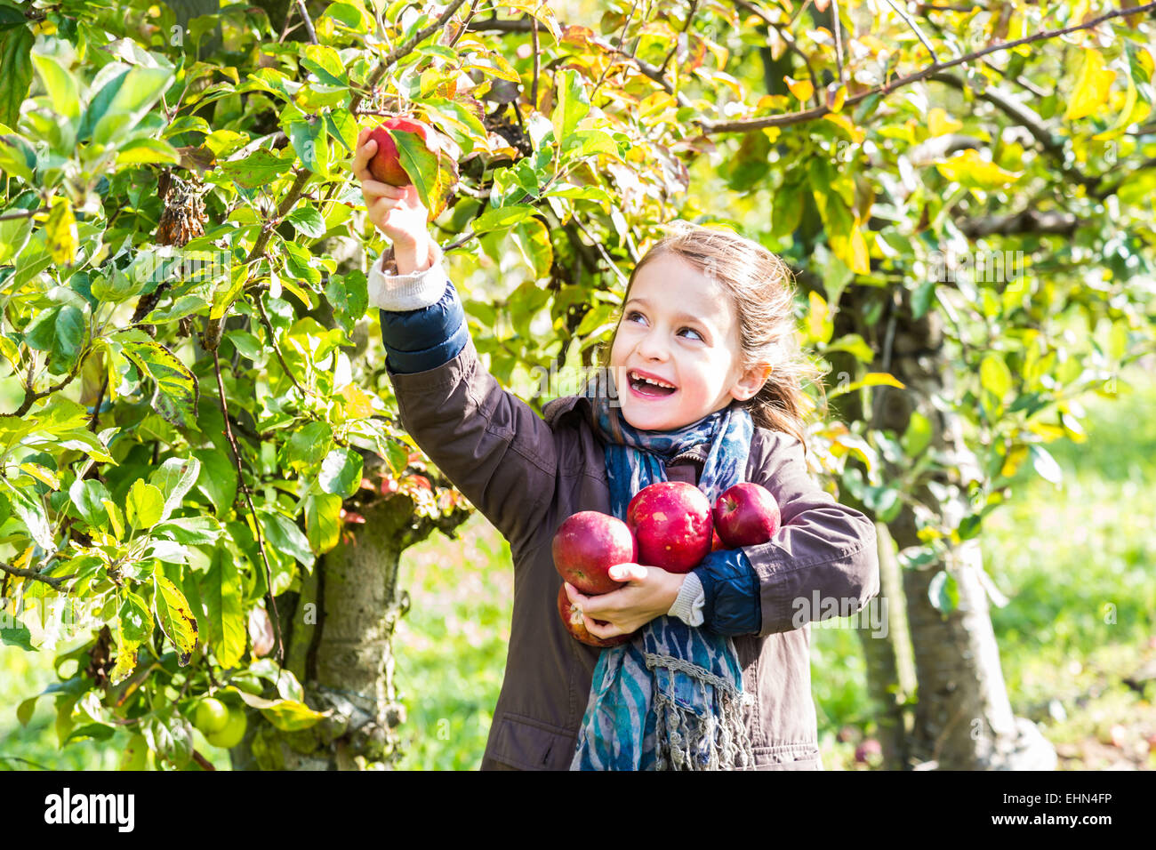 7-year-old girl. Banque D'Images