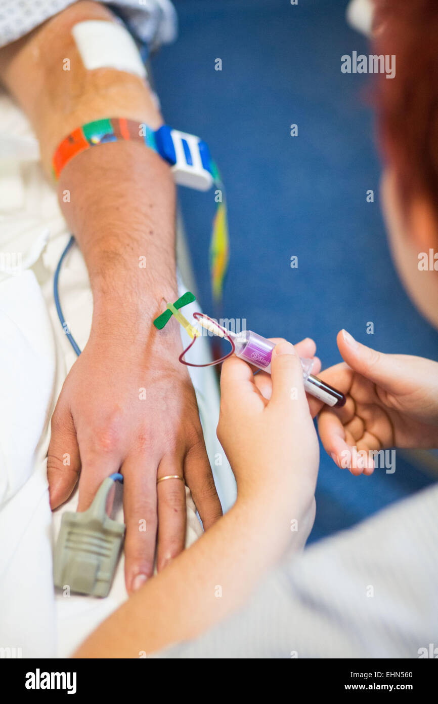 Infirmière de prendre échantillon de sang d'un patient. Banque D'Images