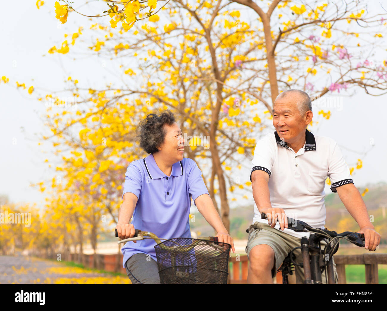 Happy asian senior couple monter à bicyclette dans le parc Banque D'Images