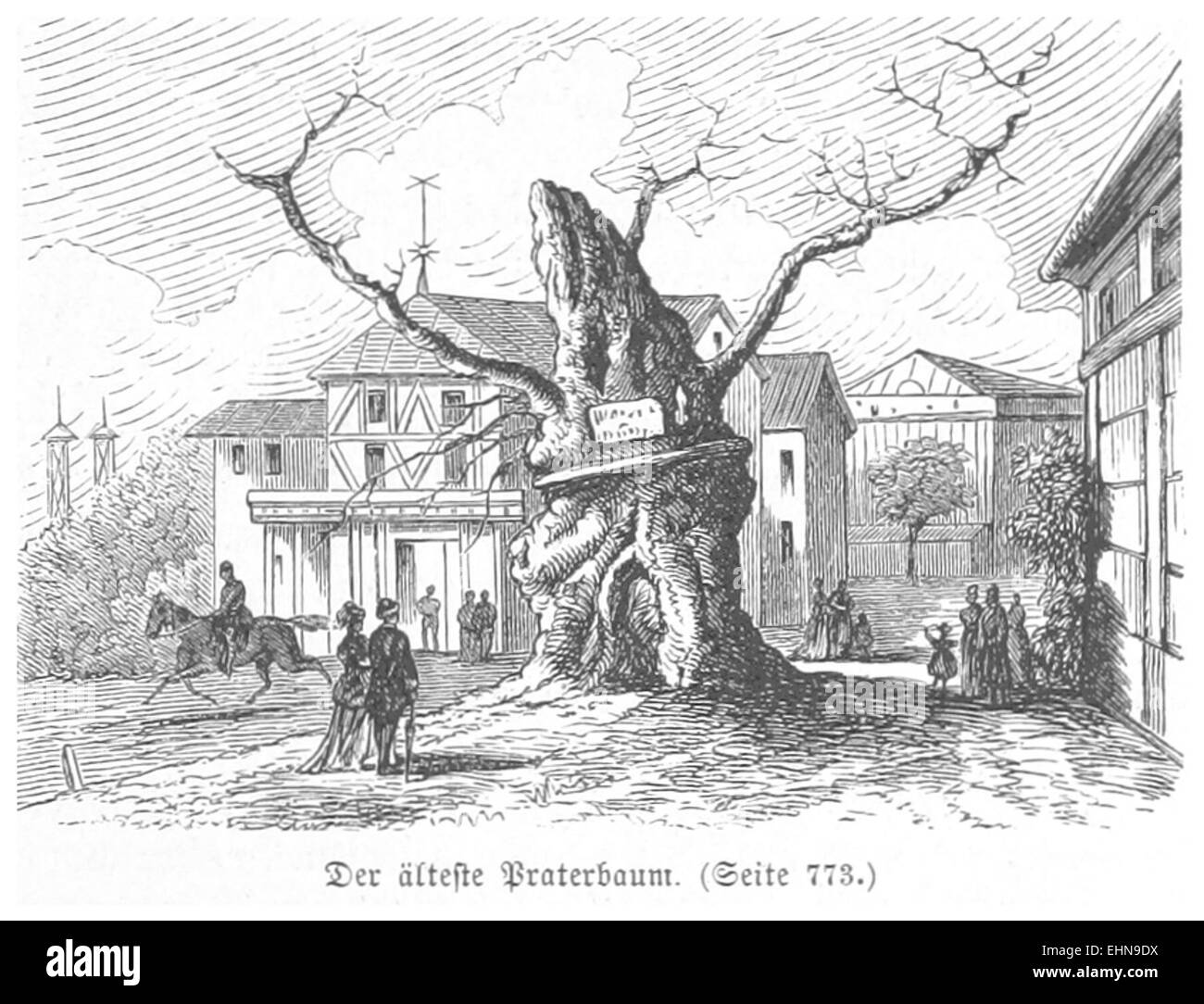 BERMANN(1880) Der älteste Praterbaum p0819 Banque D'Images