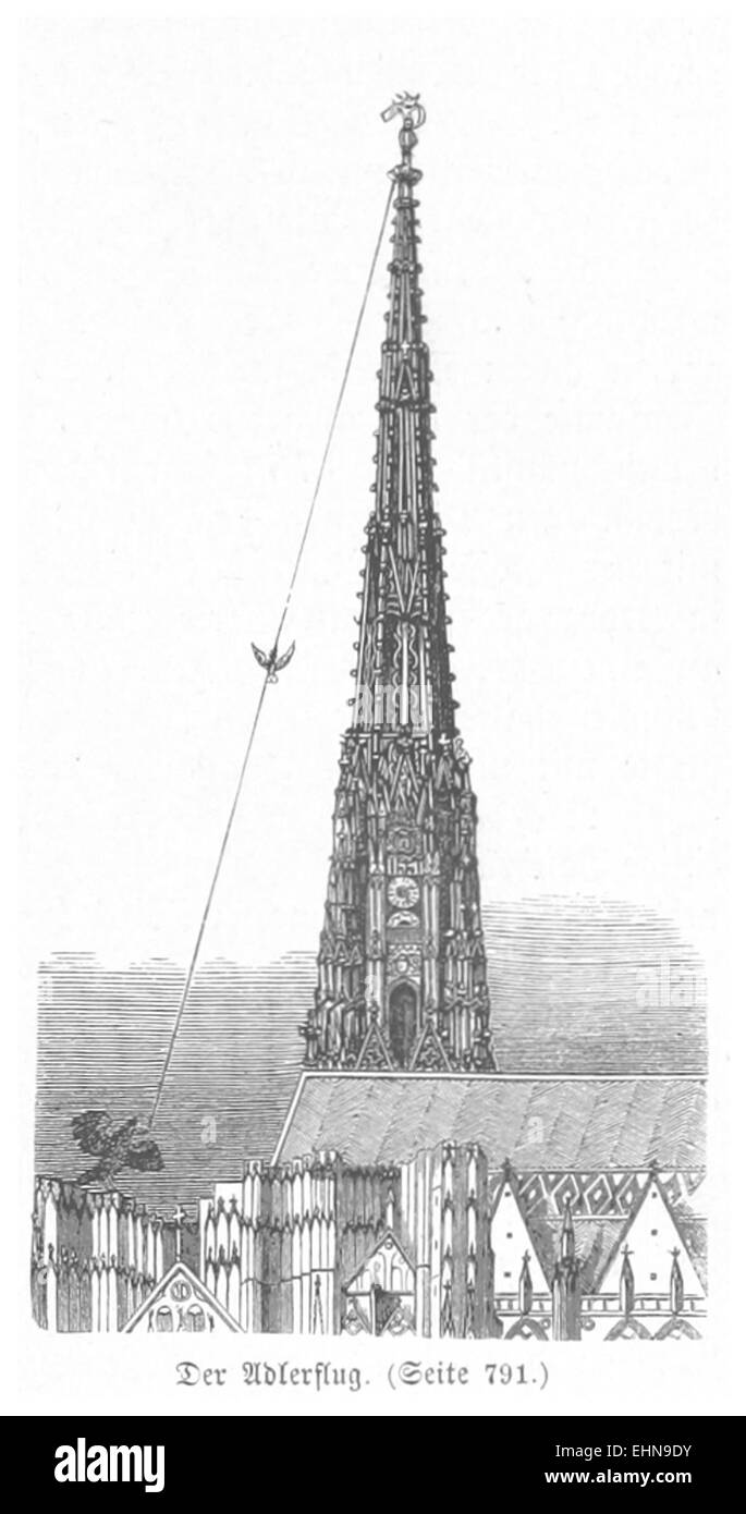 BERMANN(1880) p0829 Der Adlerflug Banque D'Images