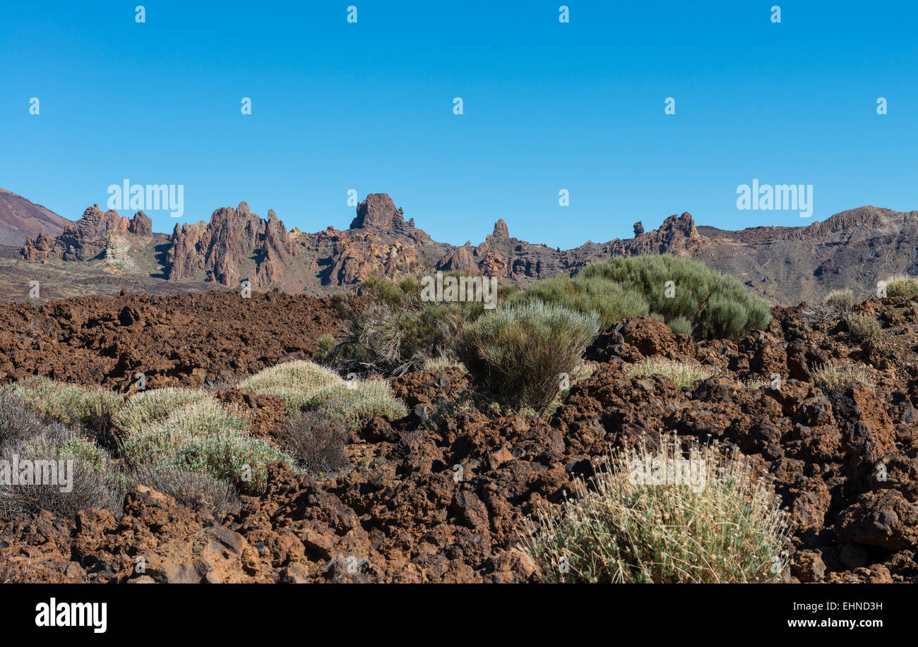 Champ de lave du volcan de Teide sur l'île de Tenerife en Espagne. Banque D'Images