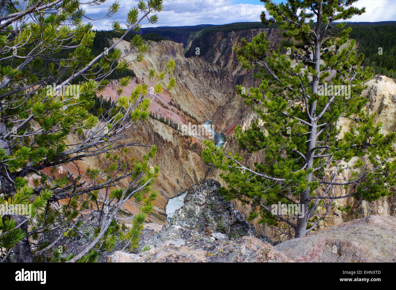 USA - Grand kanyon du Yellowstone Banque D'Images