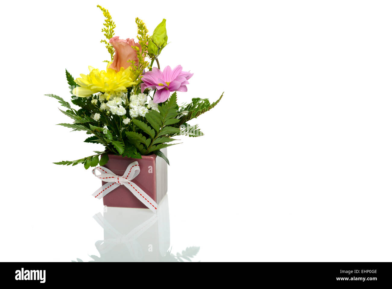 Arrangement de fleurs isolées en backgroud blanc avec reflet Banque D'Images