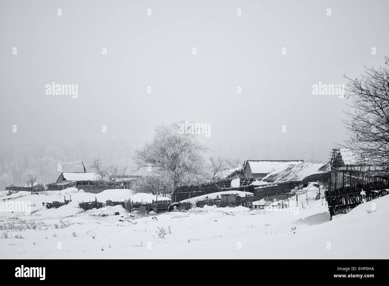 Scène rurale d'hiver Banque D'Images